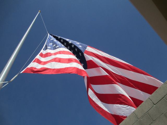 veteran's day flag