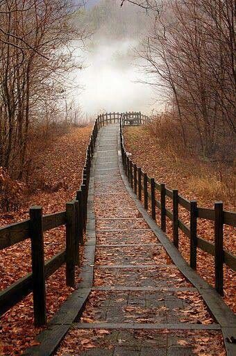 fall bridge