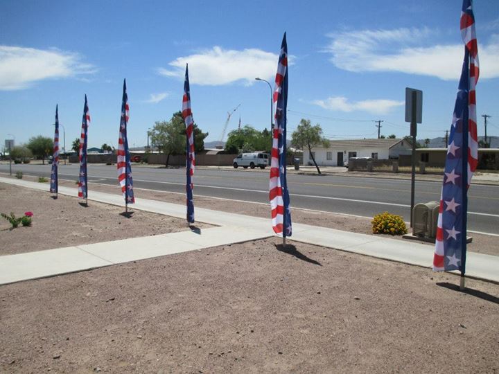 veteran's day flag 